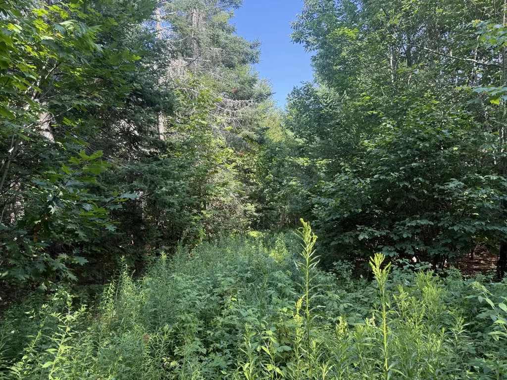 5 Black Road N Searsport ME 04974