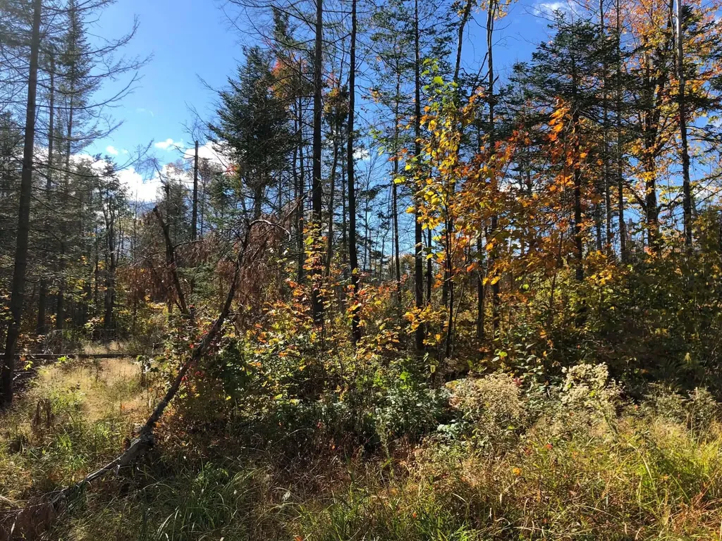 5 Black Road N Searsport ME 04974