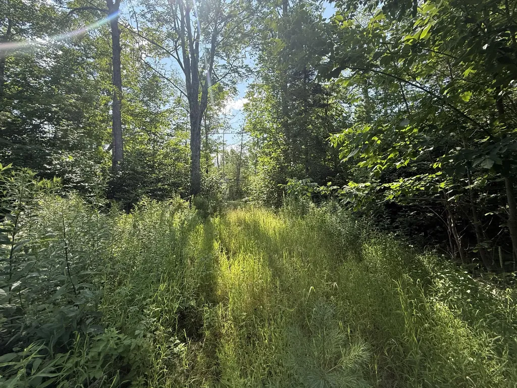 5 Black Road N Searsport ME 04974
