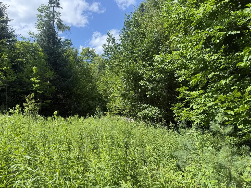 5 Black Road N Searsport ME 04974