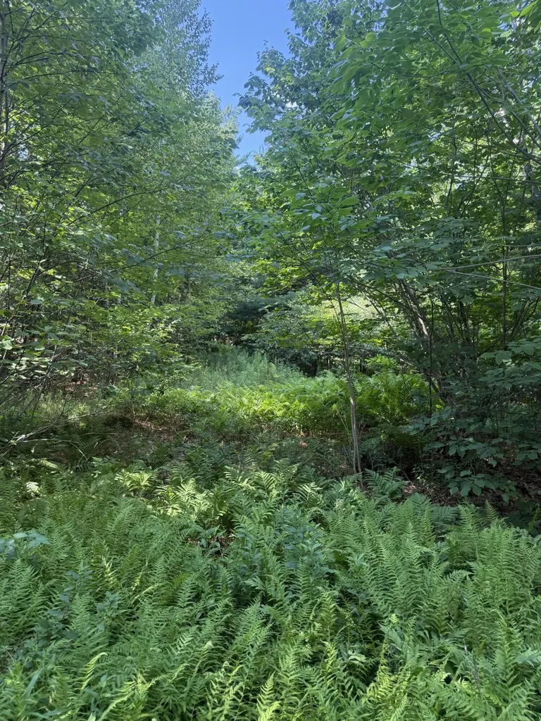 5 Black Road N Searsport ME 04974