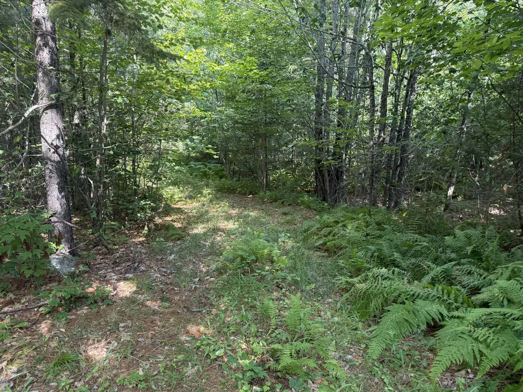 5 Black Road N Searsport ME 04974