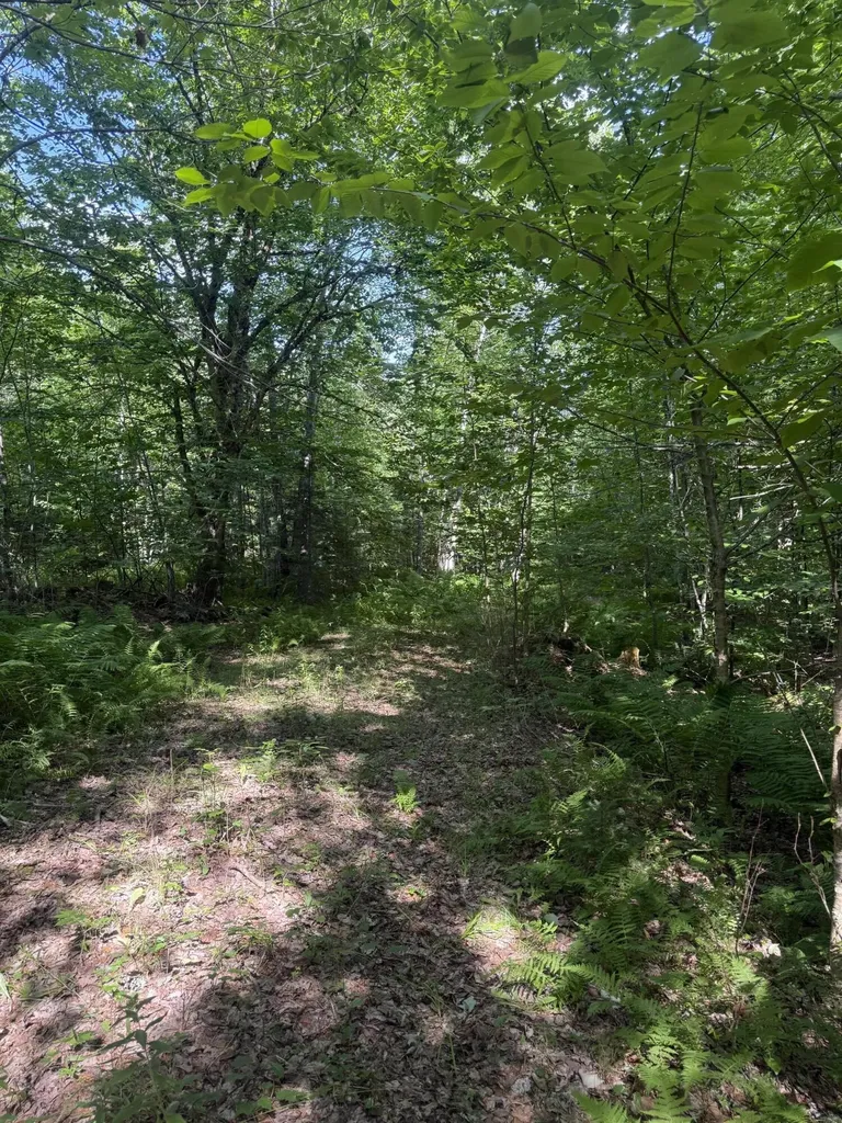 5 Black Road N Searsport ME 04974