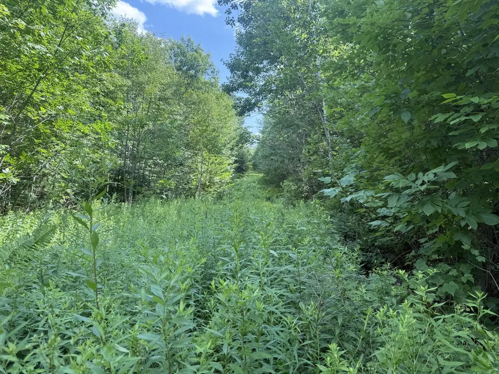 5 Black Road N Searsport ME 04974