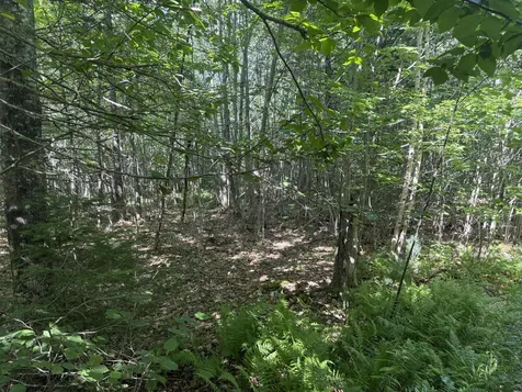 5 Black Road N Searsport ME 04974