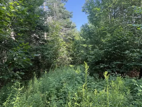 5 Black Road N Searsport ME 04974