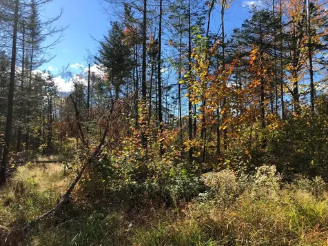 5 Black Road N Searsport ME 04974