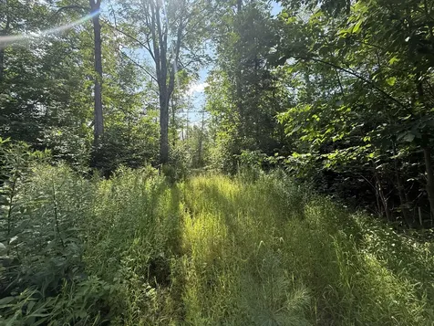5 Black Road N Searsport ME 04974
