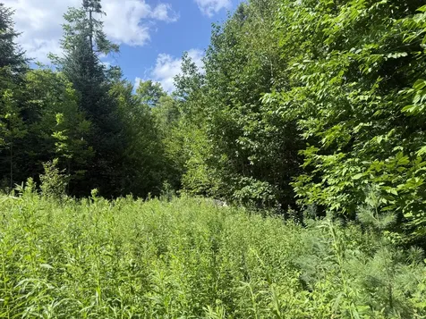5 Black Road N Searsport ME 04974