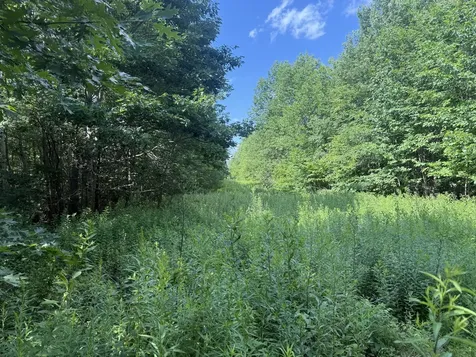 5 Black Road N Searsport ME 04974