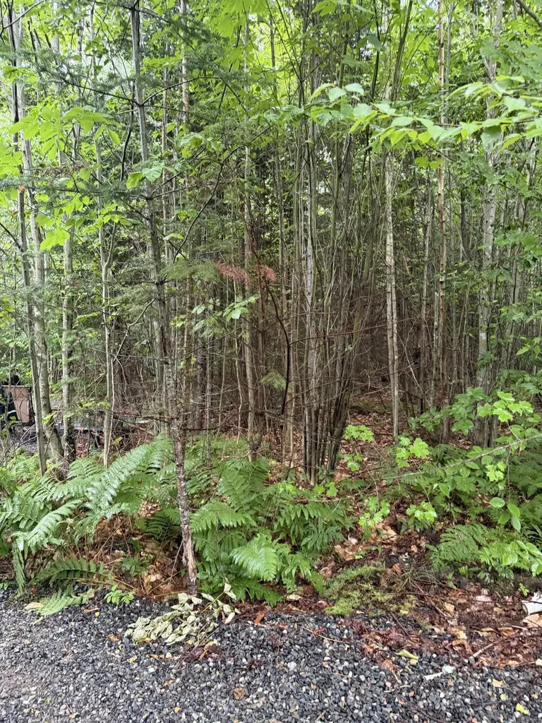 4 Kolm Lane Sebec ME 04481