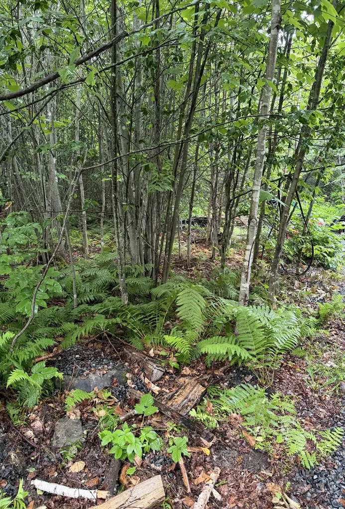 4 Kolm Lane Sebec ME 04481