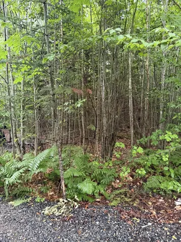 4 Kolm Lane Sebec ME 04481
