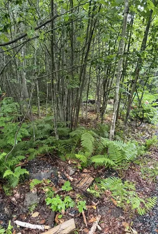 4 Kolm Lane Sebec ME 04481