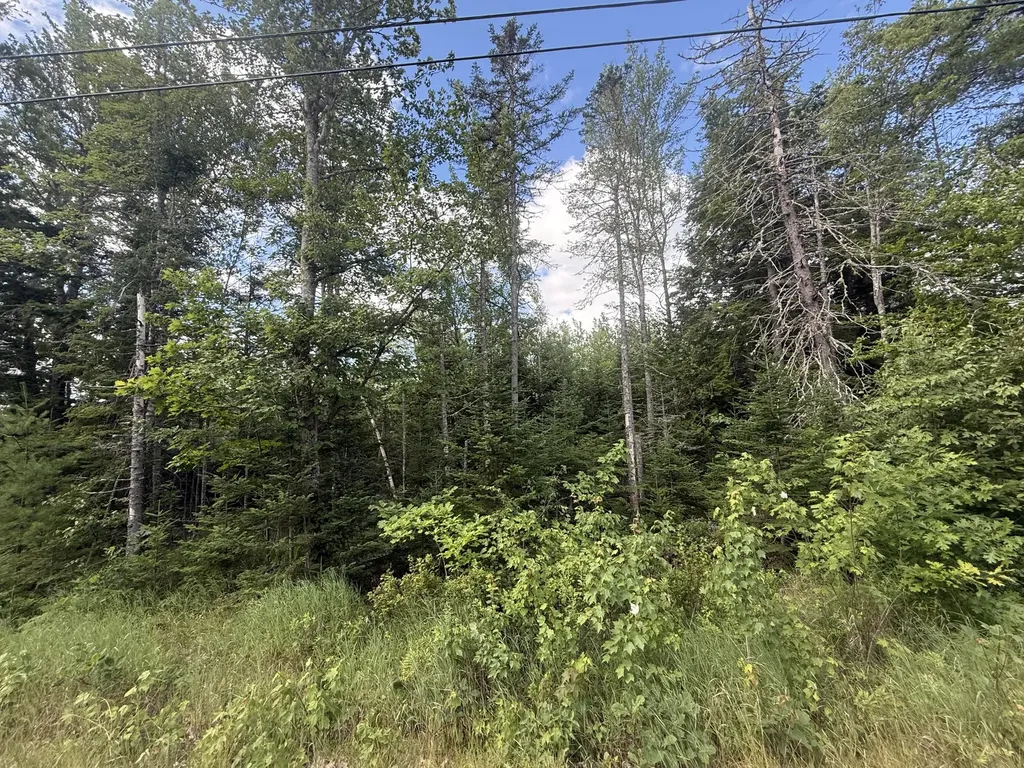 Lot #7 Russell Hill Road Bucksport ME 04416