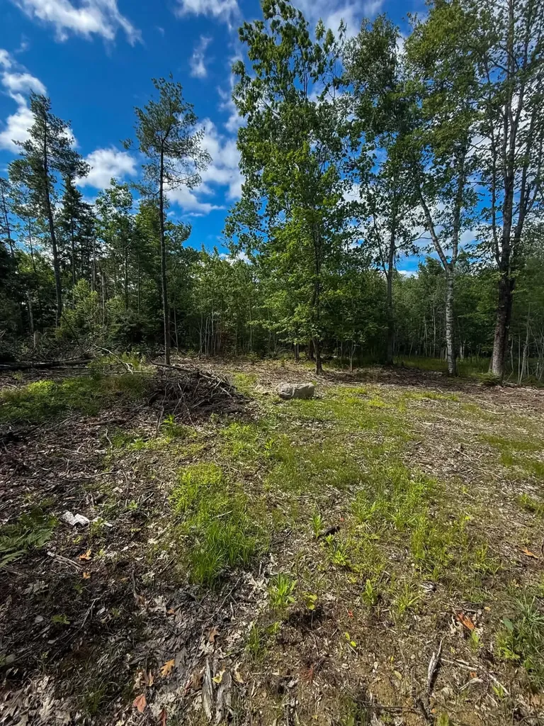 Lot #10 Russell Hill Road Bucksport ME 04416