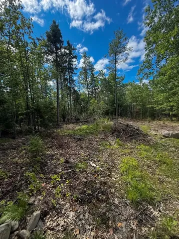 Lot #10 Russell Hill Road Bucksport ME 04416