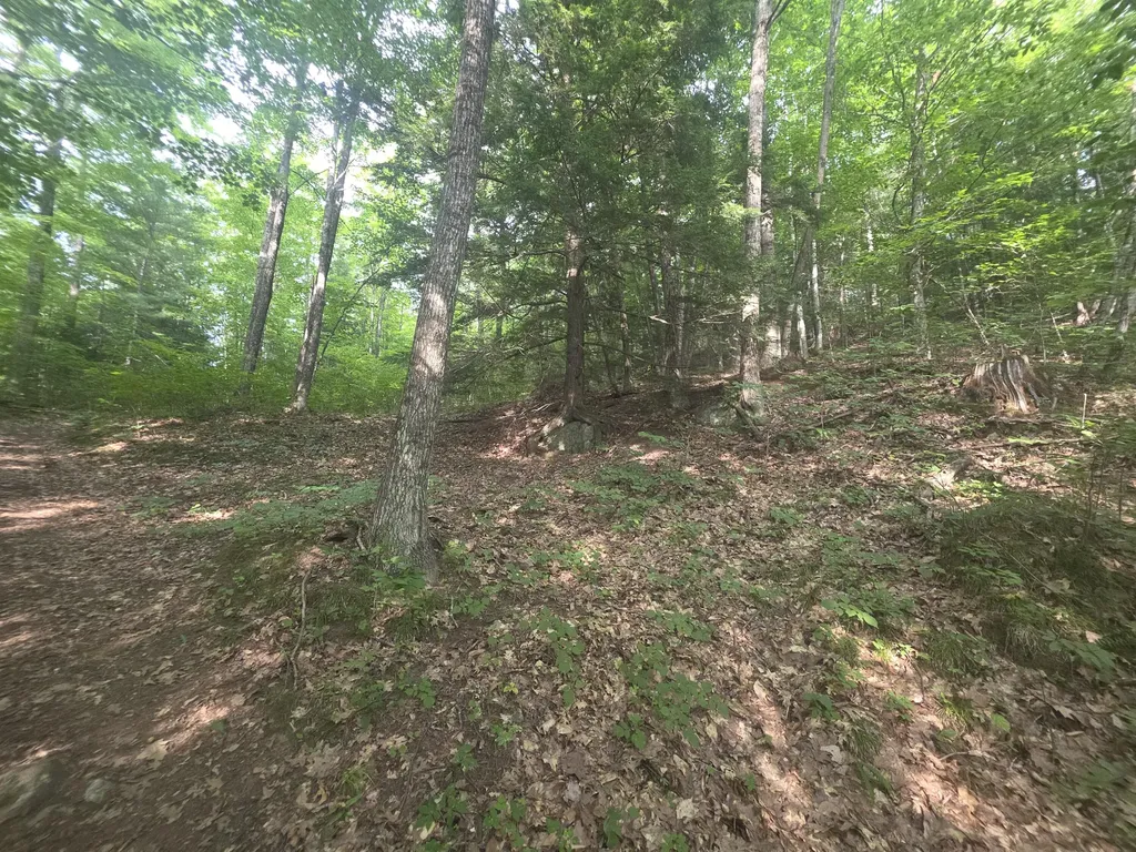 Lot 1-1a Madison Road Norridgewock ME 04957
