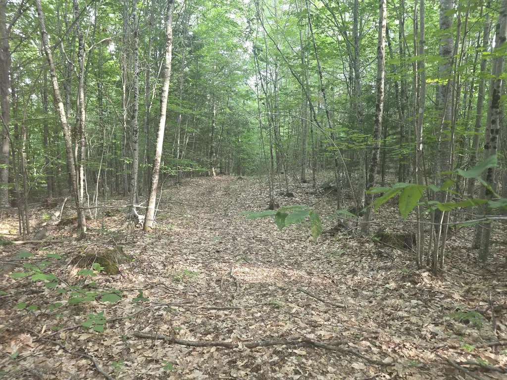 Lot 1-1a Madison Road Norridgewock ME 04957