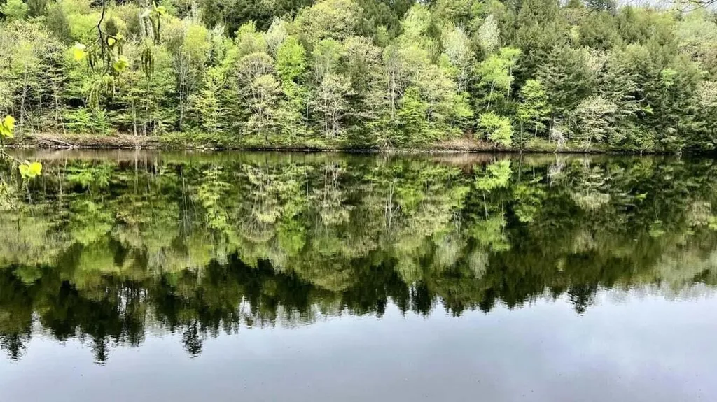 Lot 1-1a Madison Road Norridgewock ME 04957