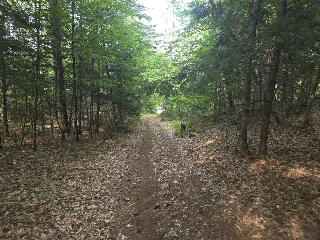 Lot 1-1a Madison Road Norridgewock ME 04957