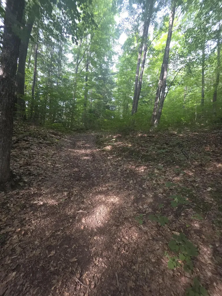 Lot 1-1a Madison Road Norridgewock ME 04957