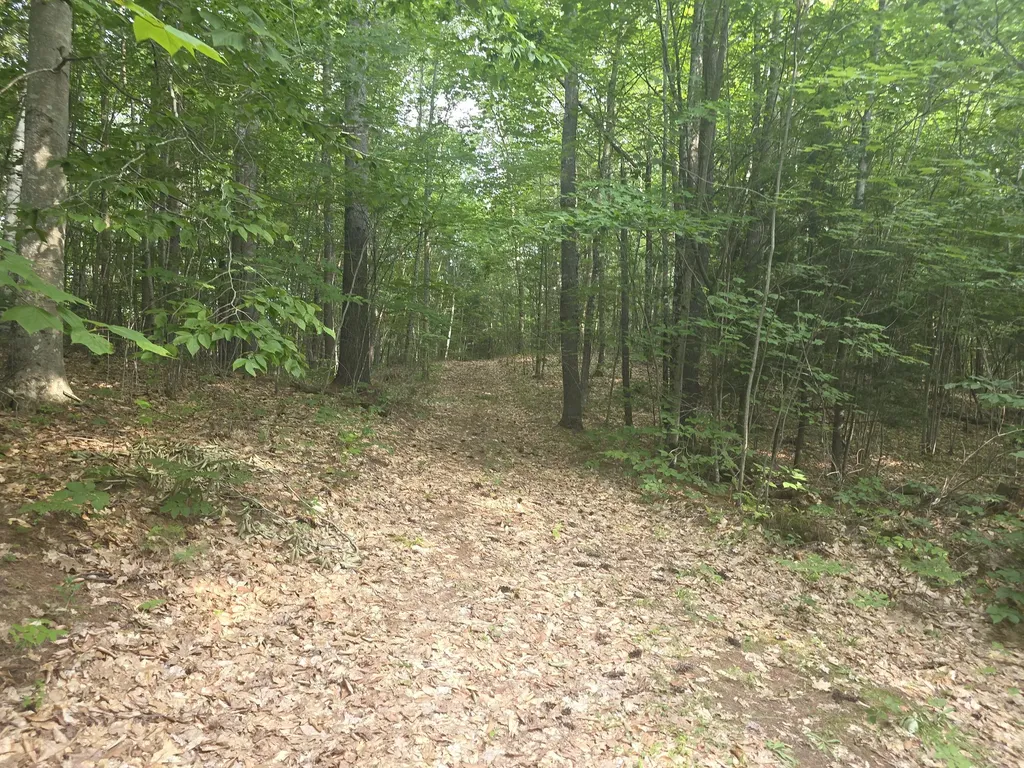 Lot 1-1a Madison Road Norridgewock ME 04957