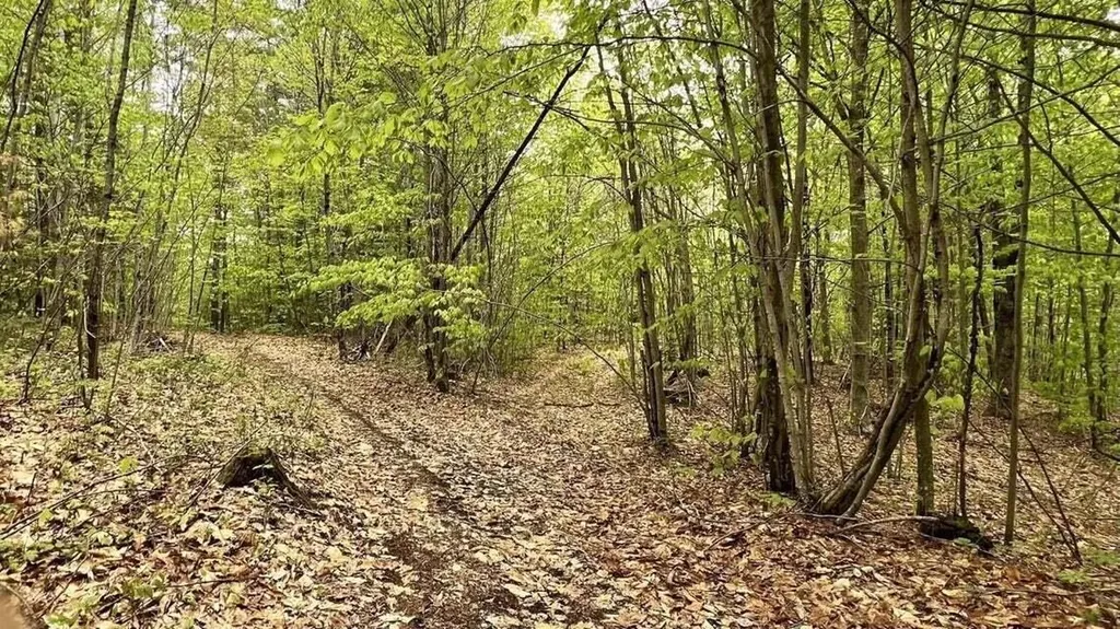 Lot 1-1a Madison Road Norridgewock ME 04957