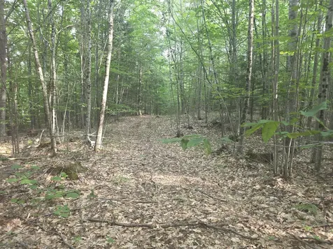 Lot 1-1a Madison Road Norridgewock ME 04957