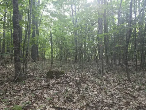 Lot 1-1a Madison Road Norridgewock ME 04957