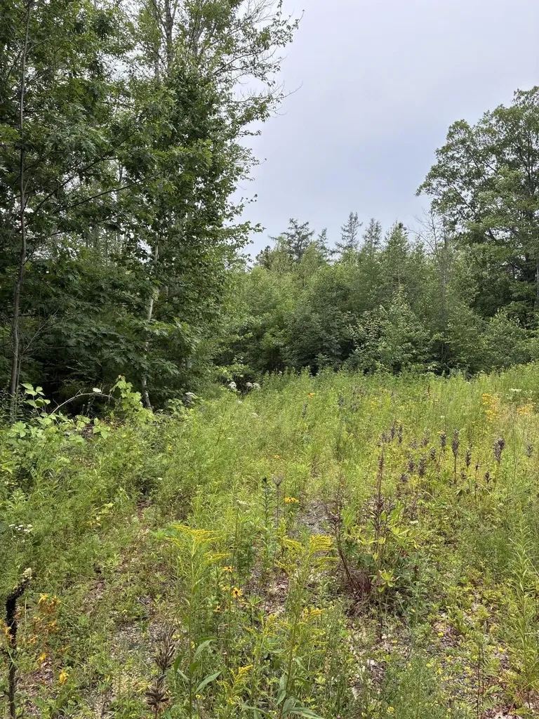 Bar Harbor ME, Lot 10 White Deer Circle