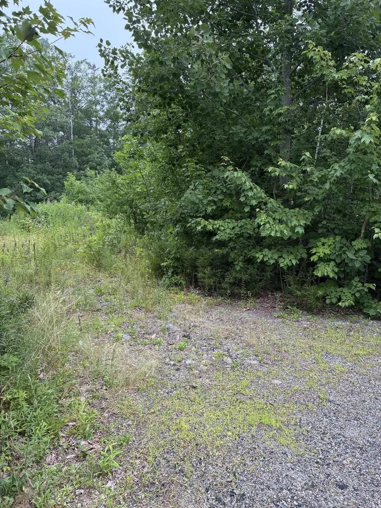 Lot 10 White Deer Circle Bar Harbor ME 04609