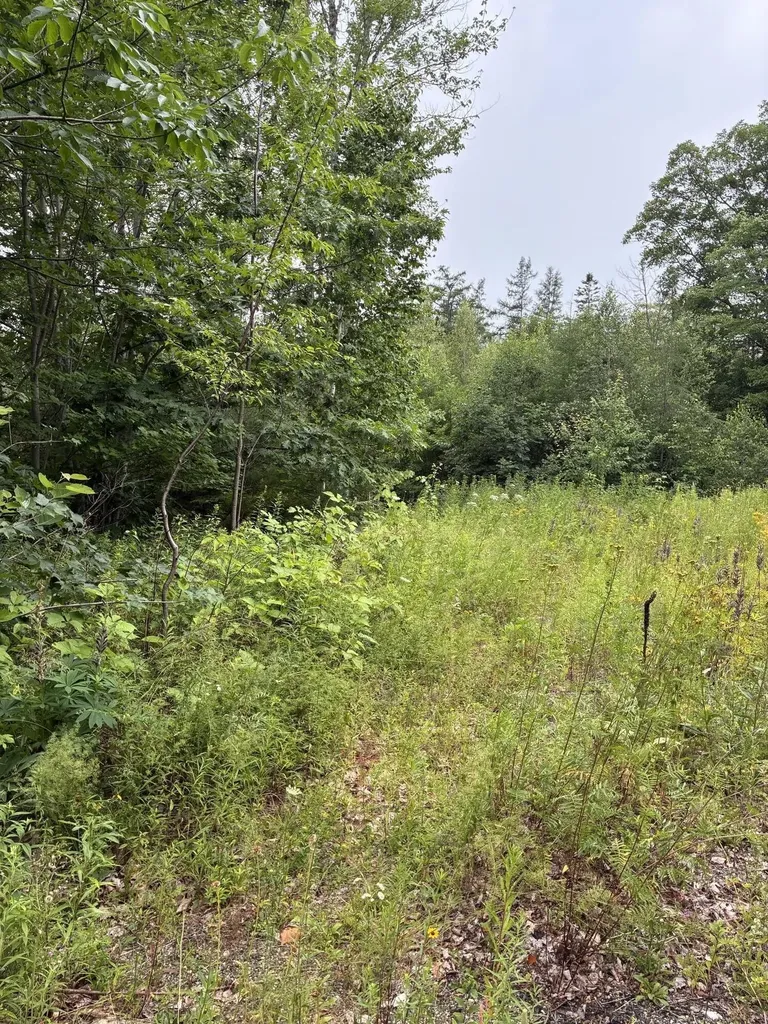 Lot 10 White Deer Circle Bar Harbor ME 04609
