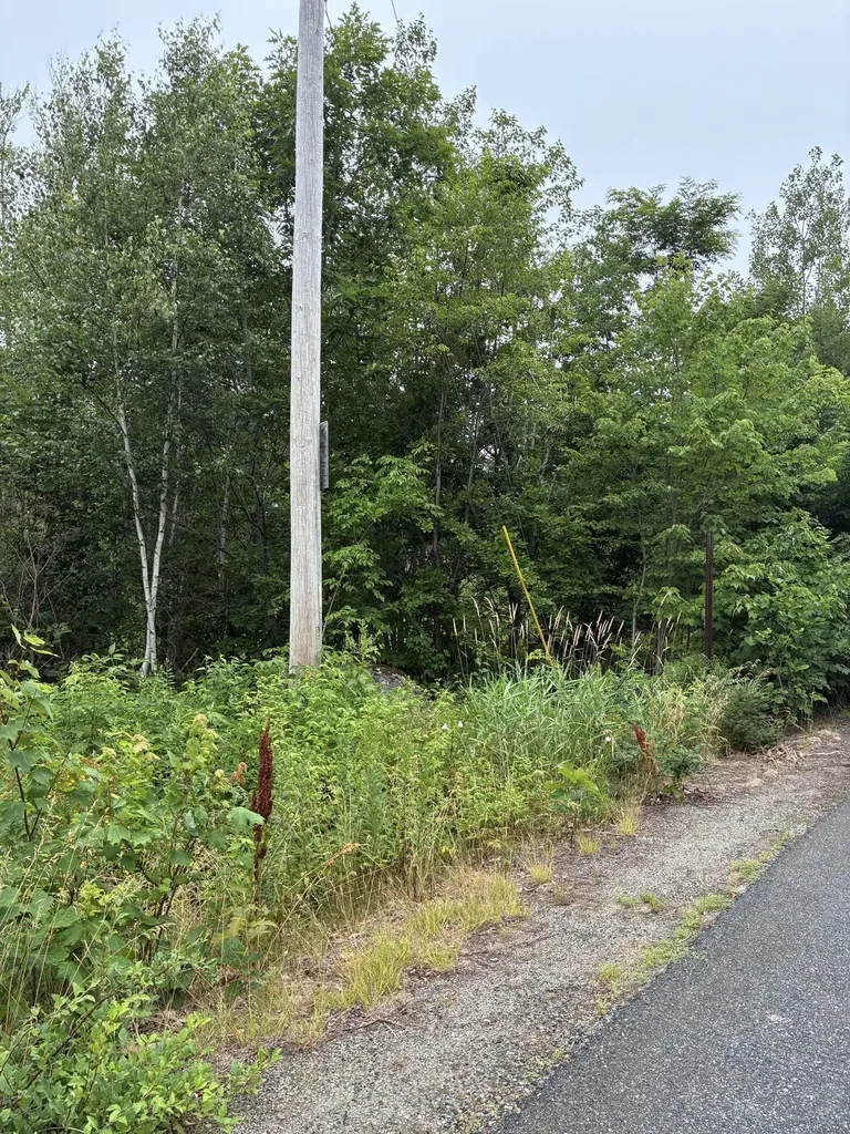 Lot 10 White Deer Circle Bar Harbor ME 04609