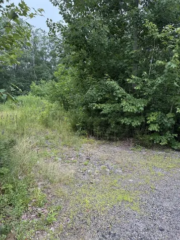Lot 10 White Deer Circle Bar Harbor ME 04609