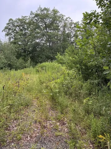 Lot 10 White Deer Circle Bar Harbor ME 04609