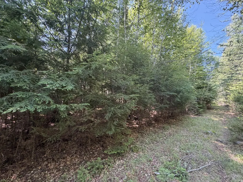 M5L18&18-1 Clark Road Burlington ME 04417