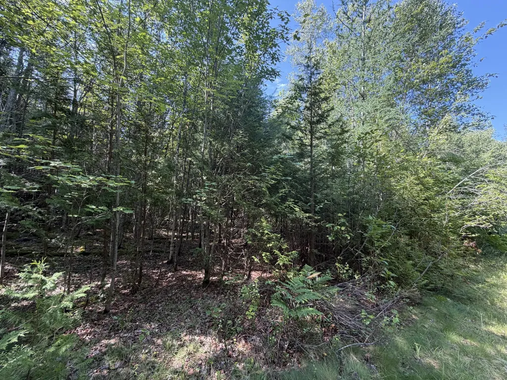 M5L18&18-1 Clark Road Burlington ME 04417