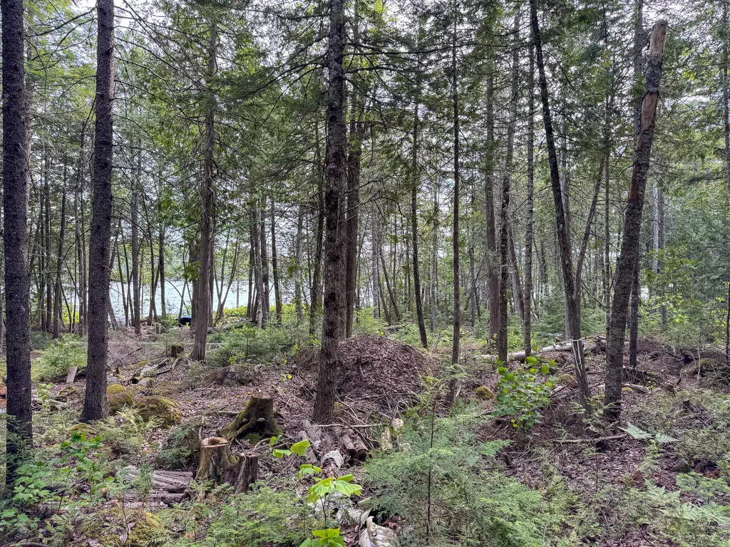 Lot 7 Bill Green Pond Road T3 R1 Nbpp ME 04455