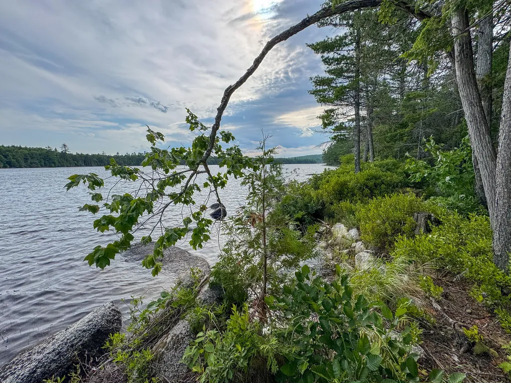 Lot 7 Bill Green Pond Road T3 R1 Nbpp ME 04455