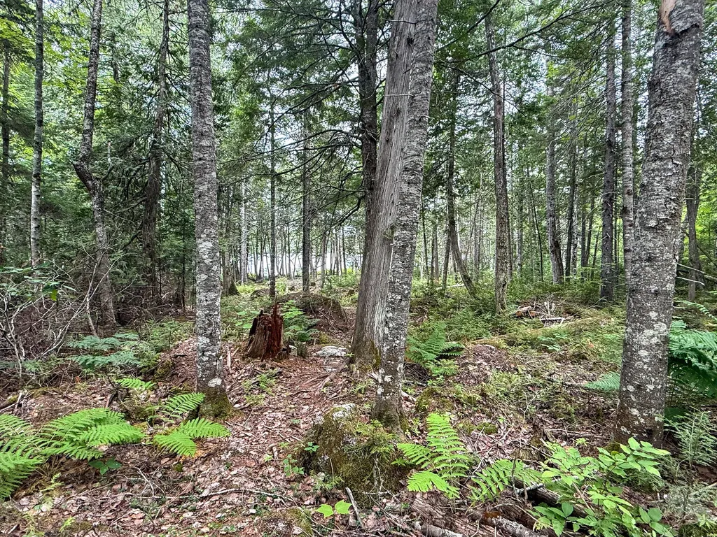 Lot 7 Bill Green Pond Road T3 R1 Nbpp ME 04455