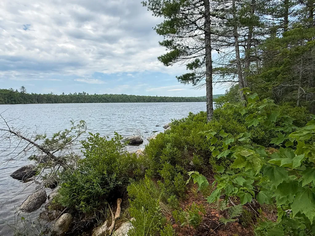 Lot 7 Bill Green Pond Road T3 R1 Nbpp ME 04455