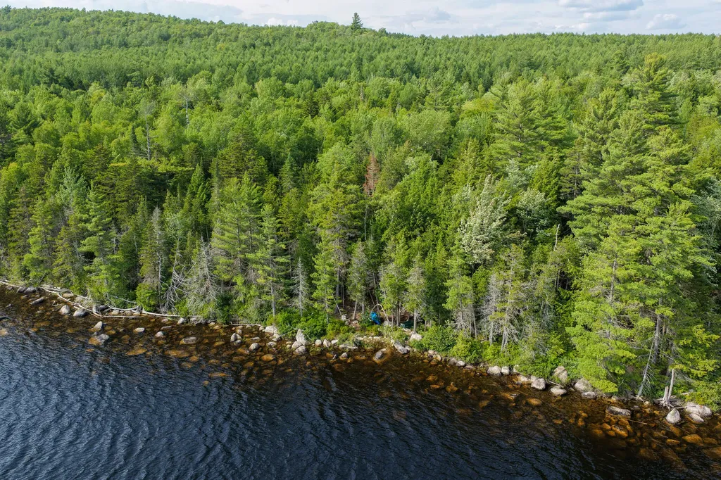 Lot 7 Bill Green Pond Road T3 R1 Nbpp ME 04455