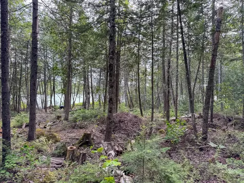 Lot 7 Bill Green Pond Road T3 R1 Nbpp ME 04455