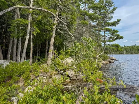 Lot 7 Bill Green Pond Road T3 R1 Nbpp ME 04455