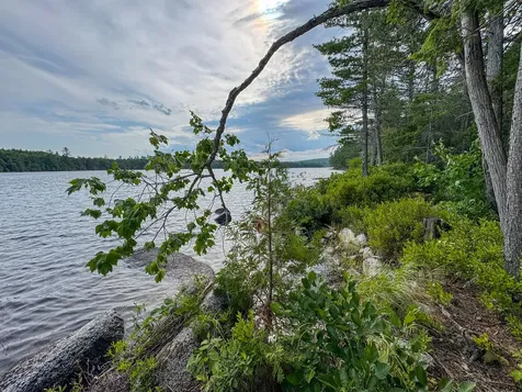 Lot 7 Bill Green Pond Road T3 R1 Nbpp ME 04455