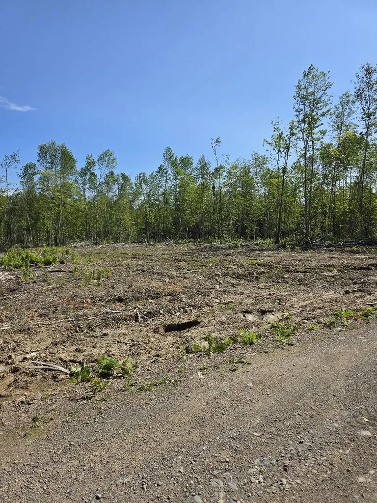 Lot 27 Williams Road Amity ME 04471