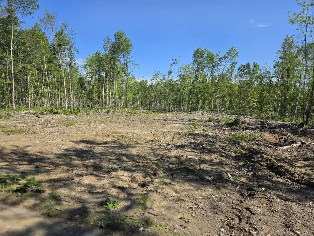 Lot 27 Williams Road Amity ME 04471