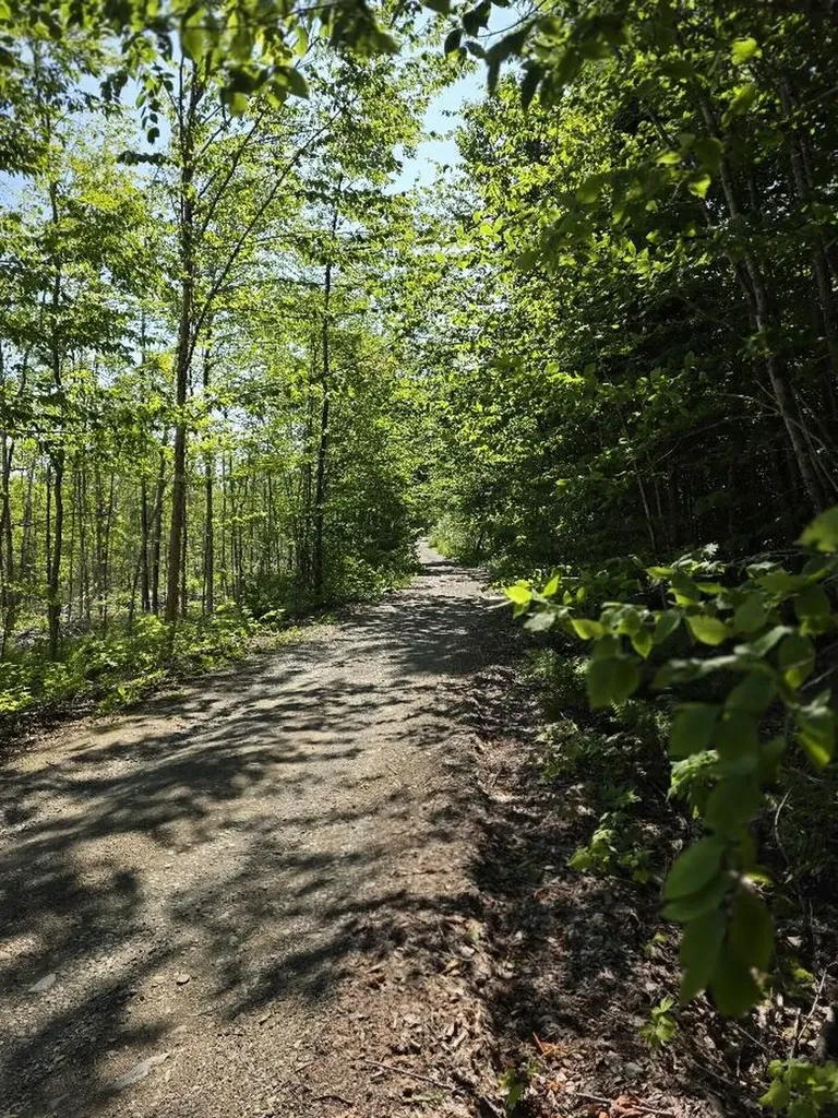 Lot 27 Williams Road Amity ME 04471