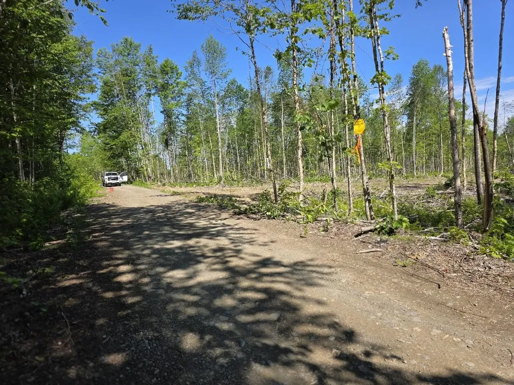 Lot 27 Williams Road Amity ME 04471